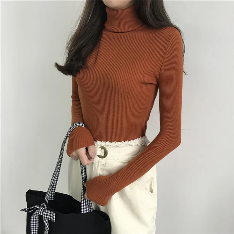 Turtleneck Sweater Womens 2024 Autumn Winter Tops Korean Slim Women Pullover Jumper Knitted Sweater Pull Femme Hiver Truien