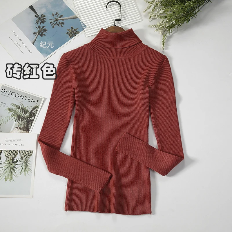 2024 Basic Turtleneck Women Sweaters Autumn Winter Thick Warm Pullover Slim Tops Ribbed Knitted Sweater Jumper Soft Pull Female