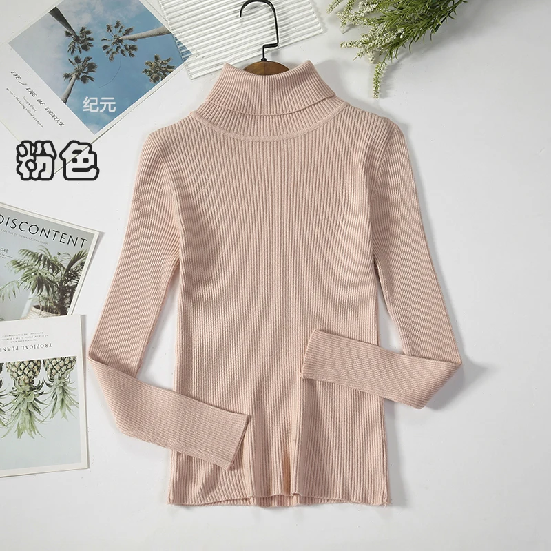 2024 Basic Turtleneck Women Sweaters Autumn Winter Thick Warm Pullover Slim Tops Ribbed Knitted Sweater Jumper Soft Pull Female