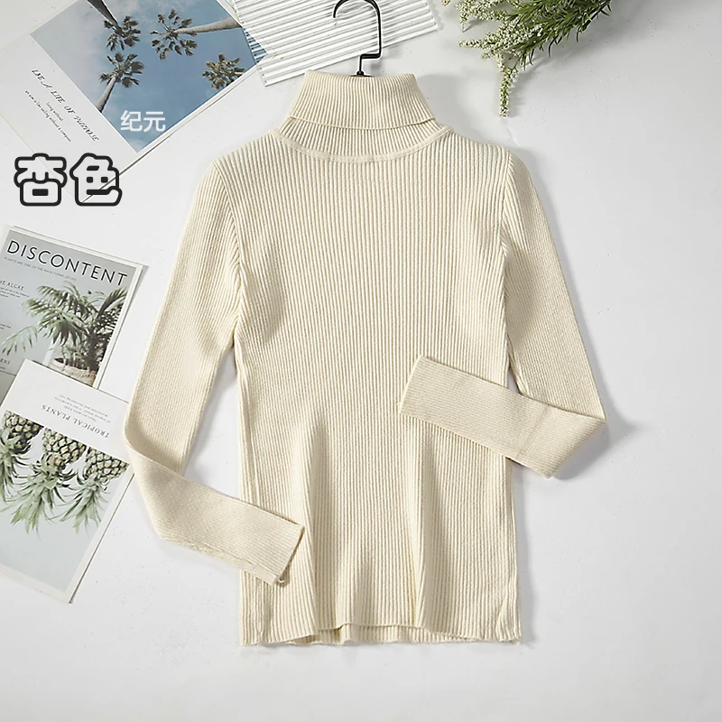 2024 Basic Turtleneck Women Sweaters Autumn Winter Thick Warm Pullover Slim Tops Ribbed Knitted Sweater Jumper Soft Pull Female