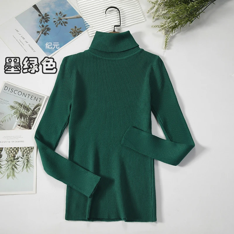 2024 Basic Turtleneck Women Sweaters Autumn Winter Thick Warm Pullover Slim Tops Ribbed Knitted Sweater Jumper Soft Pull Female