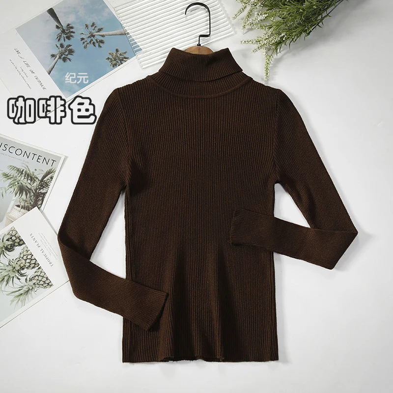 2024 Basic Turtleneck Women Sweaters Autumn Winter Thick Warm Pullover Slim Tops Ribbed Knitted Sweater Jumper Soft Pull Female